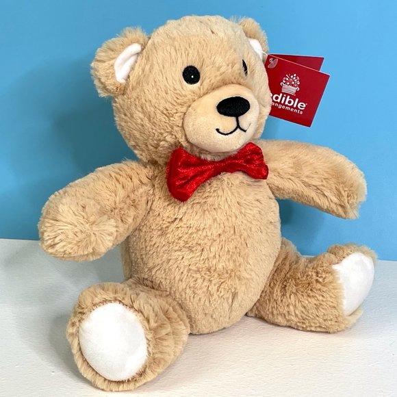NEW Edi Bear‎ Teddy Lovey 11" Cuddly Plush Stuffed Animal Toy - Picture 4 of 7